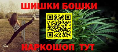 МДПВ Партизанск