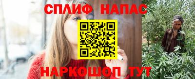 МДПВ Партизанск