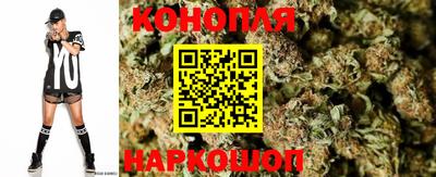 мдпв Пенза